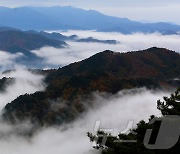 운해 깔려 장관 이룬 인제군