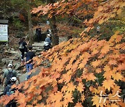 가을을 즐기는 등산객들