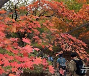 북한산에서 즐기는 단풍놀이