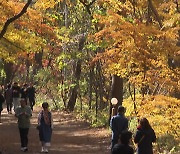 설악산은 끝물·한라산은 지각...단풍 명소 고민