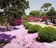 가을여행 천상의 화원(天上의 花園) 고운식물원 단풍객 유혹