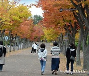 [오늘 날씨] '서울 낮 최고 20도' 흐리고 일부 비…'널뛰기' 기온, 호흡기엔 치명적