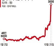 롤러코스터 탄 고려아연 주가 어디까지 가나