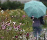 제주·남해안 중심 비…내일은 강원 산지·동해안 비