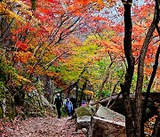 Beauty on Mount Bukhan as hikers relish fall foliage — in pictures