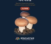 충남도 농업기술원, 양송이 ‘옥향’ 재배 안내서 발간