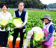 [포토] 배추 수확 나선 총리·농림부 장관