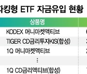 증시 불확실성 커지자...파킹형 ETF로 피신한 개미들