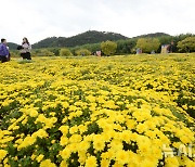 2024 태화강국가정원 가을축제