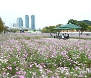 2024 태화강국가정원 가을축제