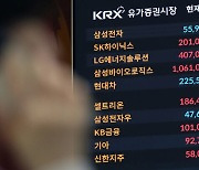 ‘삼성전자 게 섰거라’… 시가총액 맹추격 중인 SK하이닉스