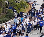 World Series Baseball