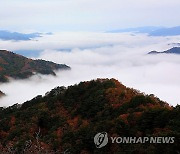 구름 이불 덮은 설악산 자락