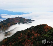 구름 이불 덮은 설악산 자락