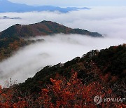 단풍옷과 구름 이불