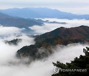 설악산 운해 장관