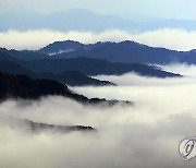 설악산 운해 장관