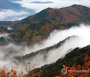 단풍과 설악산 자락 운해