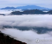 설악산 운해 장관