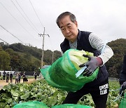 배추 수확에 한창인 한덕수 총리