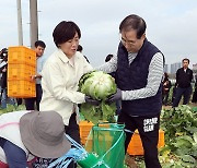 배추 수확에 한창인 한덕수 총리와 송미령 농식품부 장관