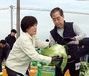 배추 수확에 한창인 한덕수 총리와 송미령 농식품부 장관