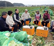 배추밭 간담회하는 한덕수 총리