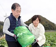 배추 수확 작업 돕는 한덕수 총리와 송미령 농식품부 장관