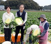 한덕수 총리-송미령 농식품부 장관, "배춧속이 꽉 찼네요"