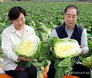 한덕수 총리-송미령 농식품부 장관, "배춧속이 꽉 찼네요"