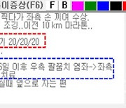 '진료비 쪼개기'로 실손보험금 7억 챙겨, 보험사기단 적발