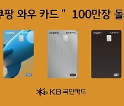 국민카드, 1년 만에 '쿠팡 와우 카드' 100만장 돌파