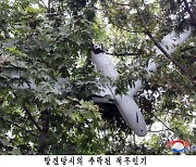 '어떻게 짖어댈까' 김여정 도발…軍 "침투시 응분의 조치"