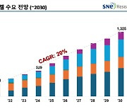 SNE리서치, 니켈 수요 2030년 133만톤으로 증가…연평균 성장률 20%