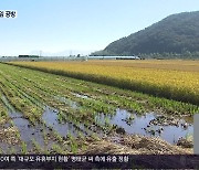 ‘호우 피해’ 농민들…집단 소송 예고