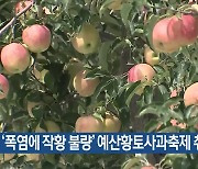 ‘폭염에 작황 불량’ 예산황토사과축제 취소