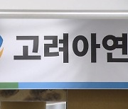 고려아연 품절주 등극...임시주총 공수교대