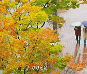 전국 흐리고 포근…동해안·영남 비 [날씨]