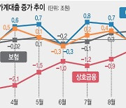 ‘주담대 풍선효과’에 2금융권도 대출 조이기 합류