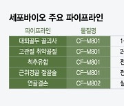 세포바이오, 신약 상업화 가속…"임상2상 파이프라인 2개, 내년 IPO"