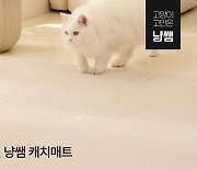 핏펫, 고양이 전문 PB 브랜드 '냥쌤' 크라우드펀딩 5784% 달성