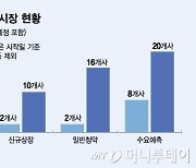 금감원 현미경 심사에 IPO 보릿고개...8·9월 80% 감소