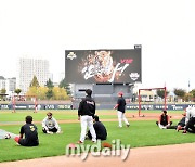 [MD포토] 훈련하는 기아 타이거즈