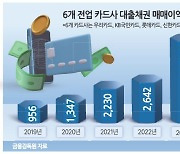 카드사 상반기 대출채권 팔아 3685억 벌었다