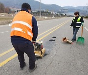 함양군, 경남도 도로정비 평가 우수기관 선정…12개 항목 호평