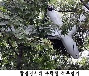 합참 "북한 무인기 우리 지역 침투할 땐 응분의 조치"