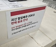 [르포] "1주새 가격 2배 올랐다"···절임배추 예약러시에 김장 포기도 '속출'