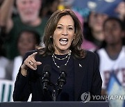 Election 2024 Harris