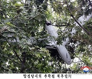 軍 "북한 무인기 우리 지역 침투 시 응분의 조치"