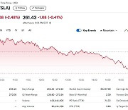 머스크 동생 3억달러 주식 매각, 테슬라 2.48%↓